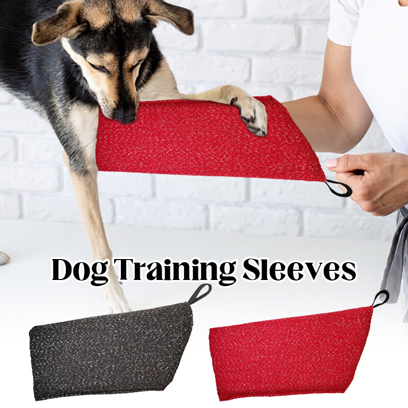 puppy training dog bite puppy