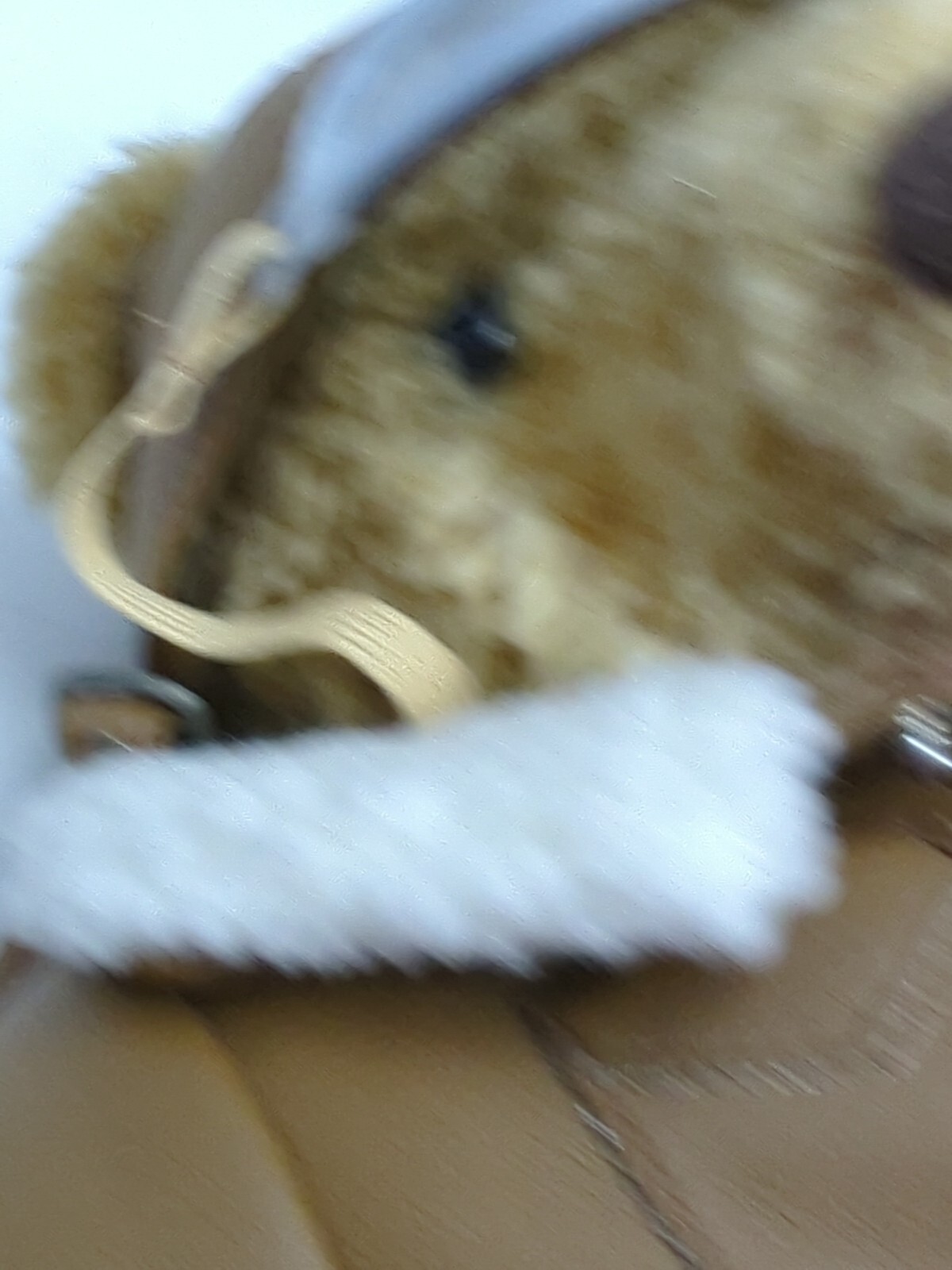 Bild 17 von 21