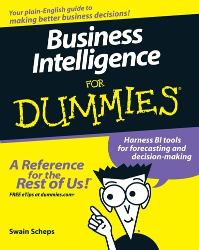 Business Intelligence for Dummies - Scheps, Swain