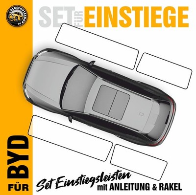 Einstiege für BYD Dolphin SURF   Lackschutzfolie Auto Folie Tür Einstiegsleisten
