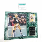 Brett Favre Autographed Plaque with Certificate (15x12)