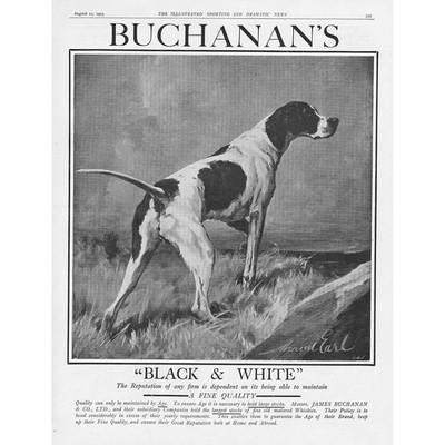 BUCHANAN'S Black & White Whisky Hund Motiv - antike Werbung 1923