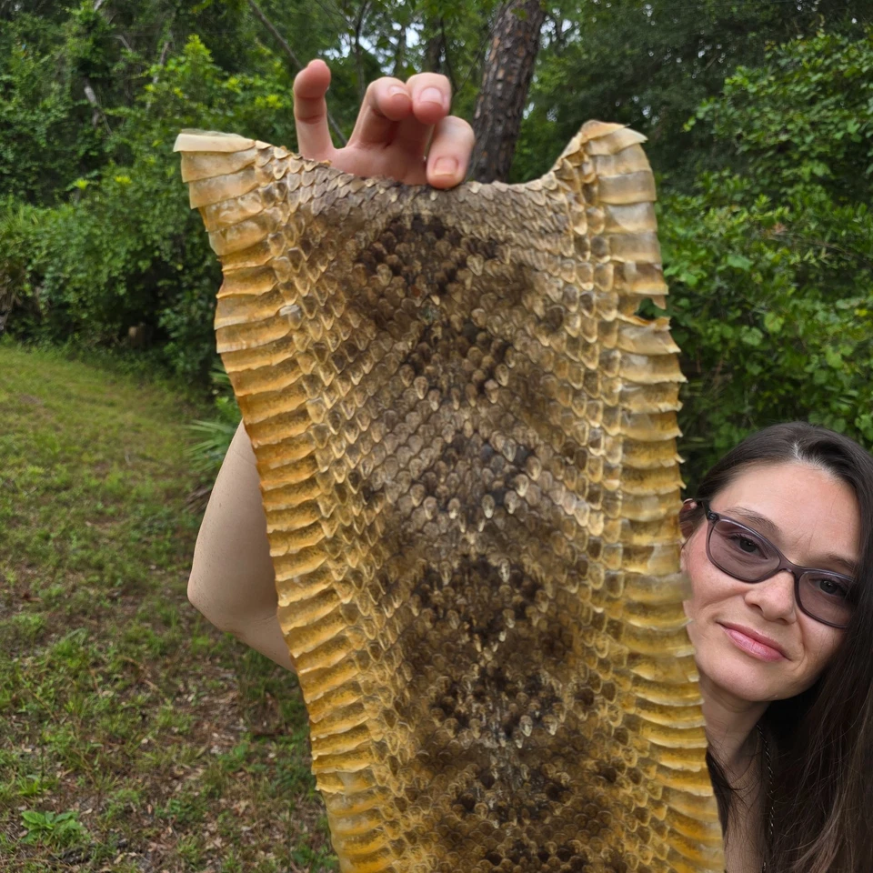 Rattlesnake skin hide pelt Leather Hide Eastern Diamond Back Costume Crafts - Image 2 of 4