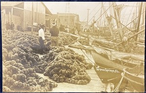 Tarpon Springs Fl RPPC Greek Sponge Sail Boat Dock Real Photo Florida RP