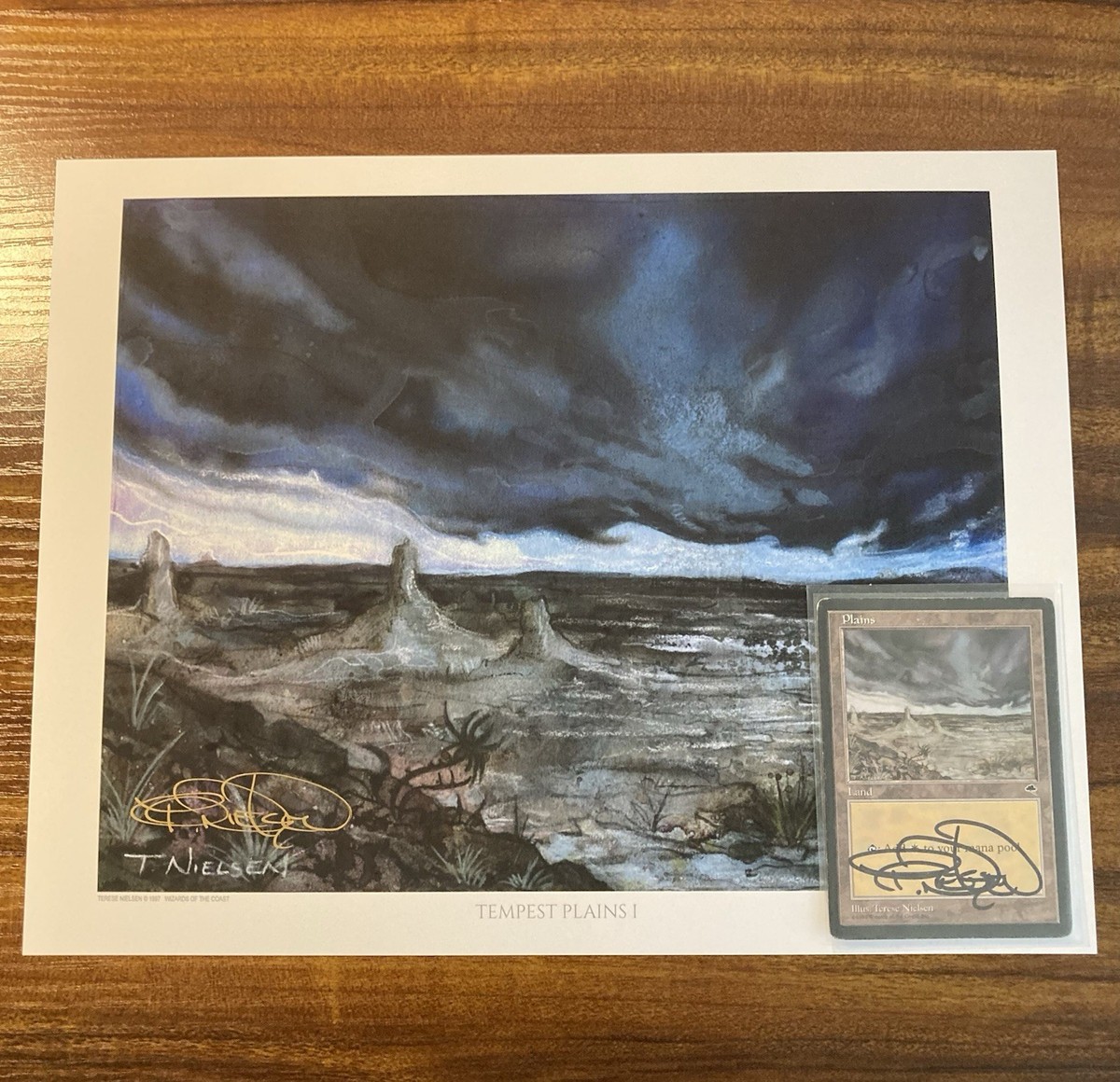 MTG✨Artist Signed PLAINS-Ant Hill ART PRINT & CARD✨Tempest Land