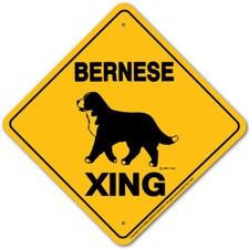 Bernese Mountain Dog Xing Sign Aluminum 12 in X 12 in 20587