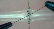 Microsurgical Suture Training Simulation of 1mm/2mm Blood Vessels Teaching Model