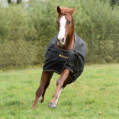 Bucas Irish Turnout Light 50g