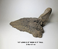 FIN-TASTIC FIND NATURAL DRIFTWOOD TORTOISE w CUT FLAT BOTTOM DRILLED CTR HOLE