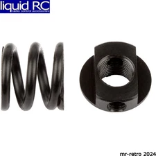 Associated 92234 RC10B74 Slipper Spring and Nut