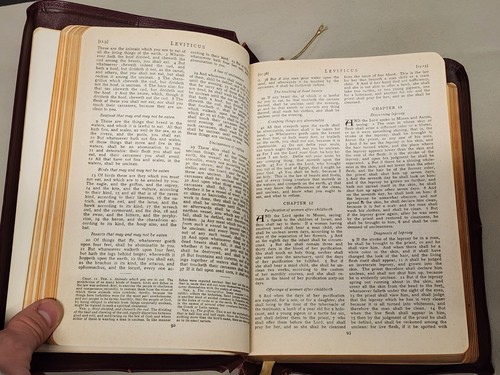 Vintage The Holy Bible Holy Trinity Edition The Catholic Press Chicago 1951 - Picture 14 of 17