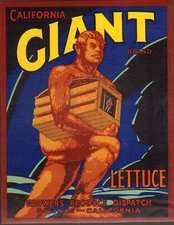 *Original* GIANT Salinas Ca LETTUCE Vegetable Crate Label NOT A COPY!