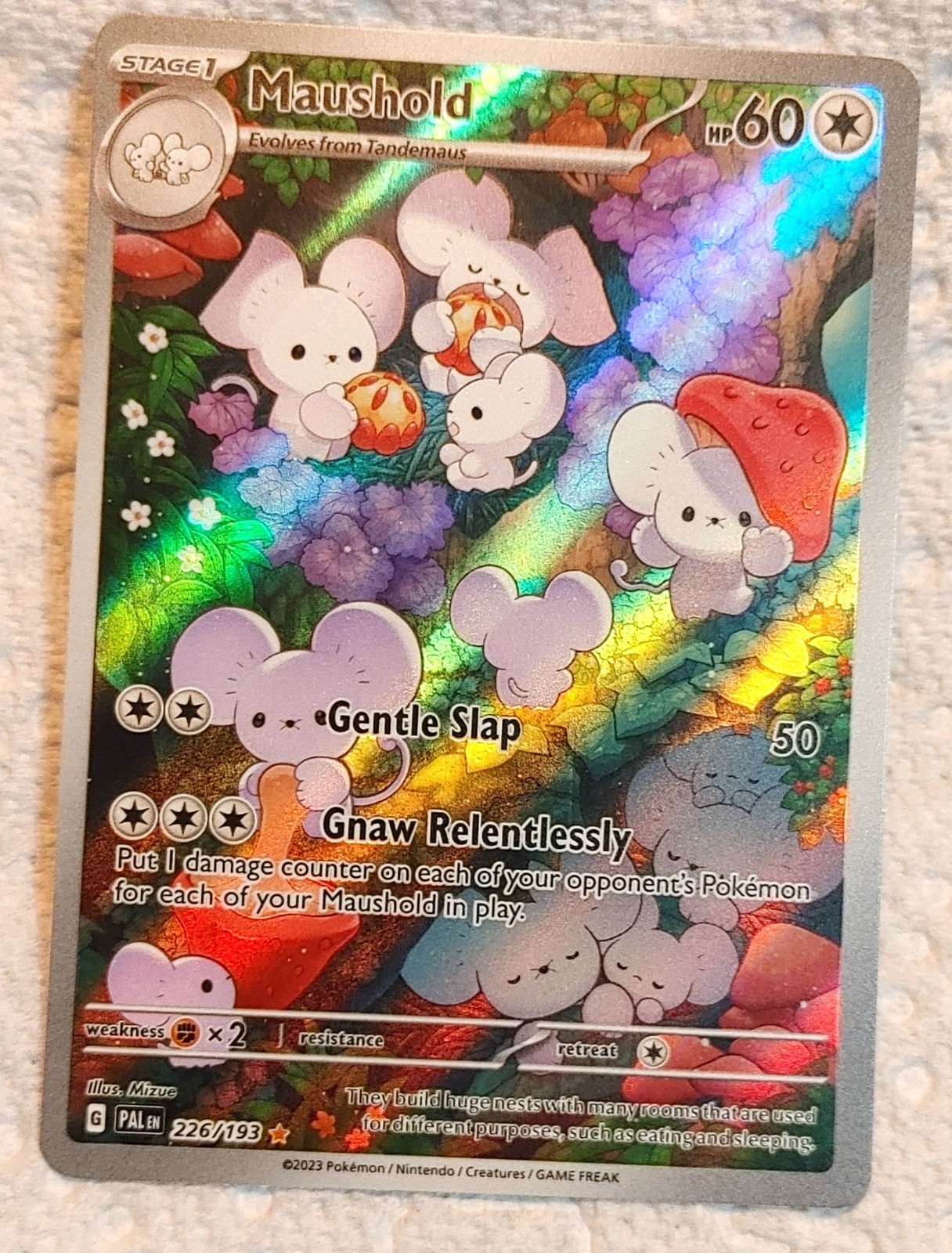 Maushold - 226/193 - Pokemon Paldea Evolved Illustration Rare Card NM