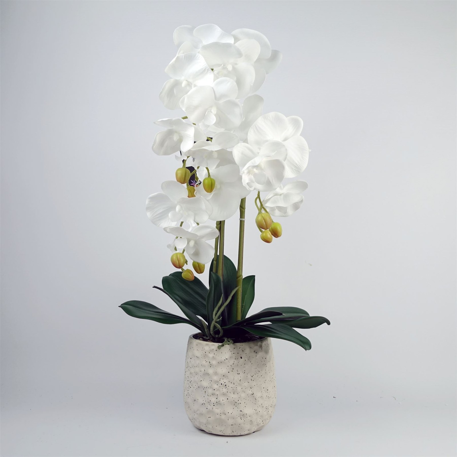B&Q - 60Cm Pure White Artificial Orchid With Ceramic Bubble Planter - Image 2