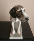 ROSENTHAL PORCELAIN FIGURINE OF A GERMAN POINTER DOG by Willi Zügel — photo 6