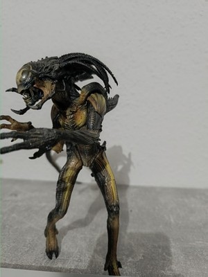 Neca Race 2008 Alien & Predator Figures Avp