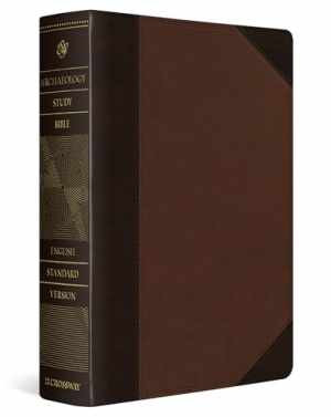 ESV Archaeology Study Bible in Imitation Leather Condition Very Good