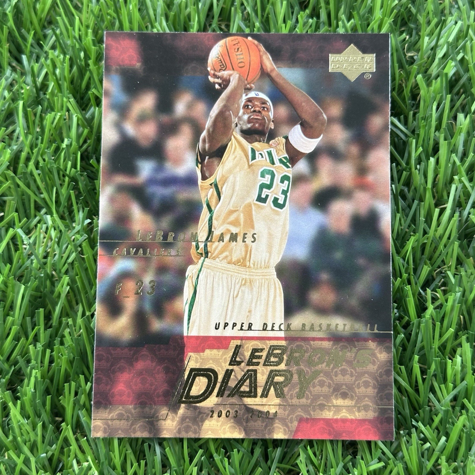 2003 UPPER DECK LEBRON JAMES LEBRON’S DIARY ROOKIE RC #LJ3 Insert Card Cavs