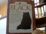 Little Black Cat Book (Little cat library), Taylor, David, Used; Good Book