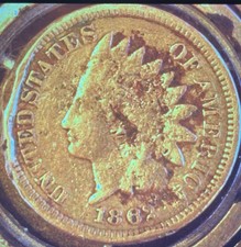  on The Hot Collector