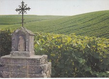 CPSM ARBOIS DOMAINE DE LA CROIX D' ARGIS PROPRIETE HENRI MAIRE
