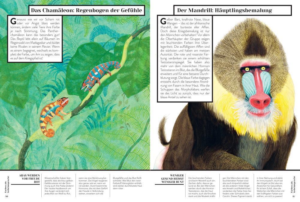 Thumbnail - Emmanuelle Figueras | Warum Wirst Du Denn Rot? | Buch | Deutsch (2021)