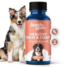 Natural Skin & Coat Supplement for Dogs