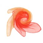 Bild 12 von 12