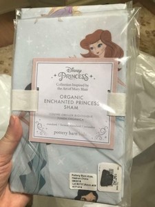 Pottery Barn Kids Disney Enchanted Princess Standard Sham New Ebay