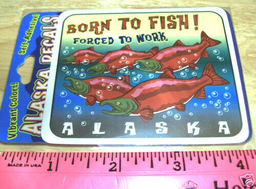 Alaska Sticker Aufkleber BORN TO FISH FORCED TO WORK Lachs im Bach, genial - Bild 1 von 1