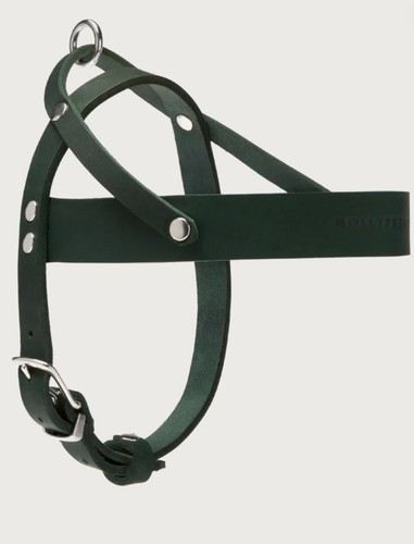 Molly and Stitch BUTTER LEATHER DOG HARNESS - FOREST GREEN, Size M