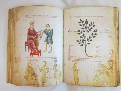 Die Medicina Antiqua - Bild 2 von 4