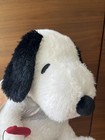 Foto 4 di 12