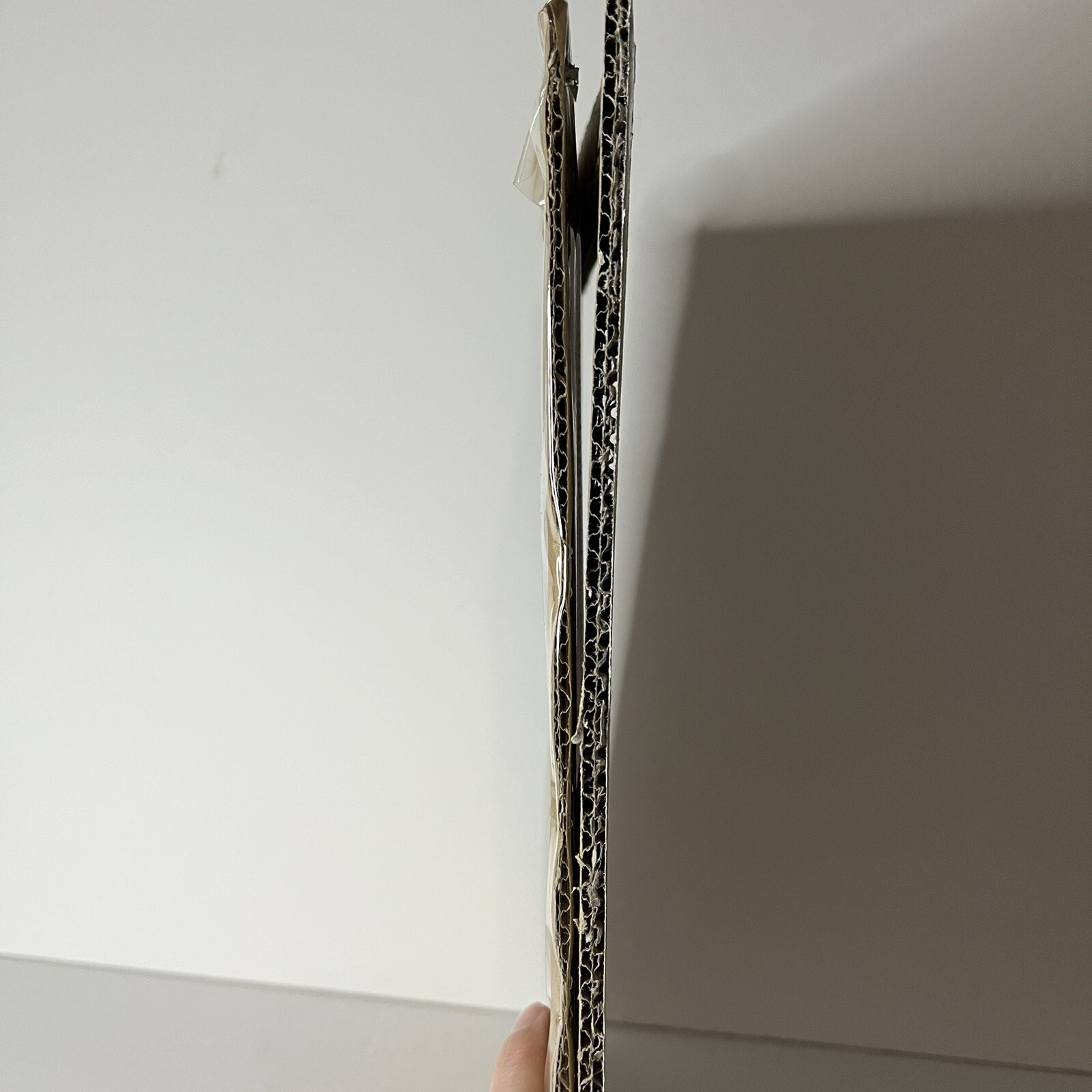 Picture 6 of 11