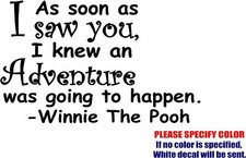 Vinyl Decal Sticker - WINNIE THE POOH ADVENTURE Quote Car Truck Bumper Fun 7"