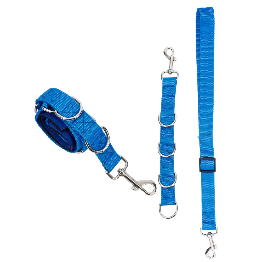  3 Pezzi Accessori per Cani Accessori per Cani Guinzaglio per Cani di Piccola Taglia Guinzaglio da Bagno per