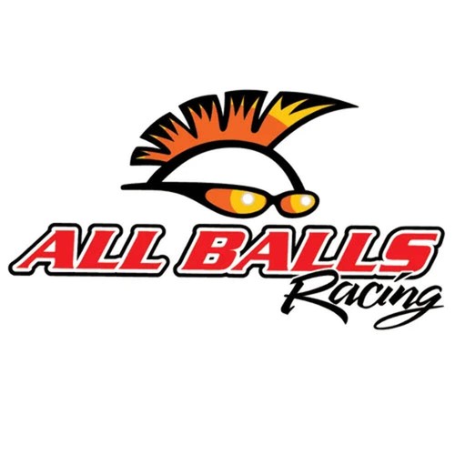 ALL BALLS CLUTCH SLAVE CYL REBUILD KIT ALLBALLS, ALLBALLS 18-6020 SUZ DL/SV1000 - Bild 3 von 4