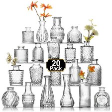 Arme 20 Pcs Bud Vase Set, Mini Vases for Flowers, Small Vintage Glass Vase fo...