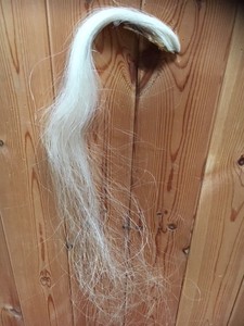 rocking horse hair