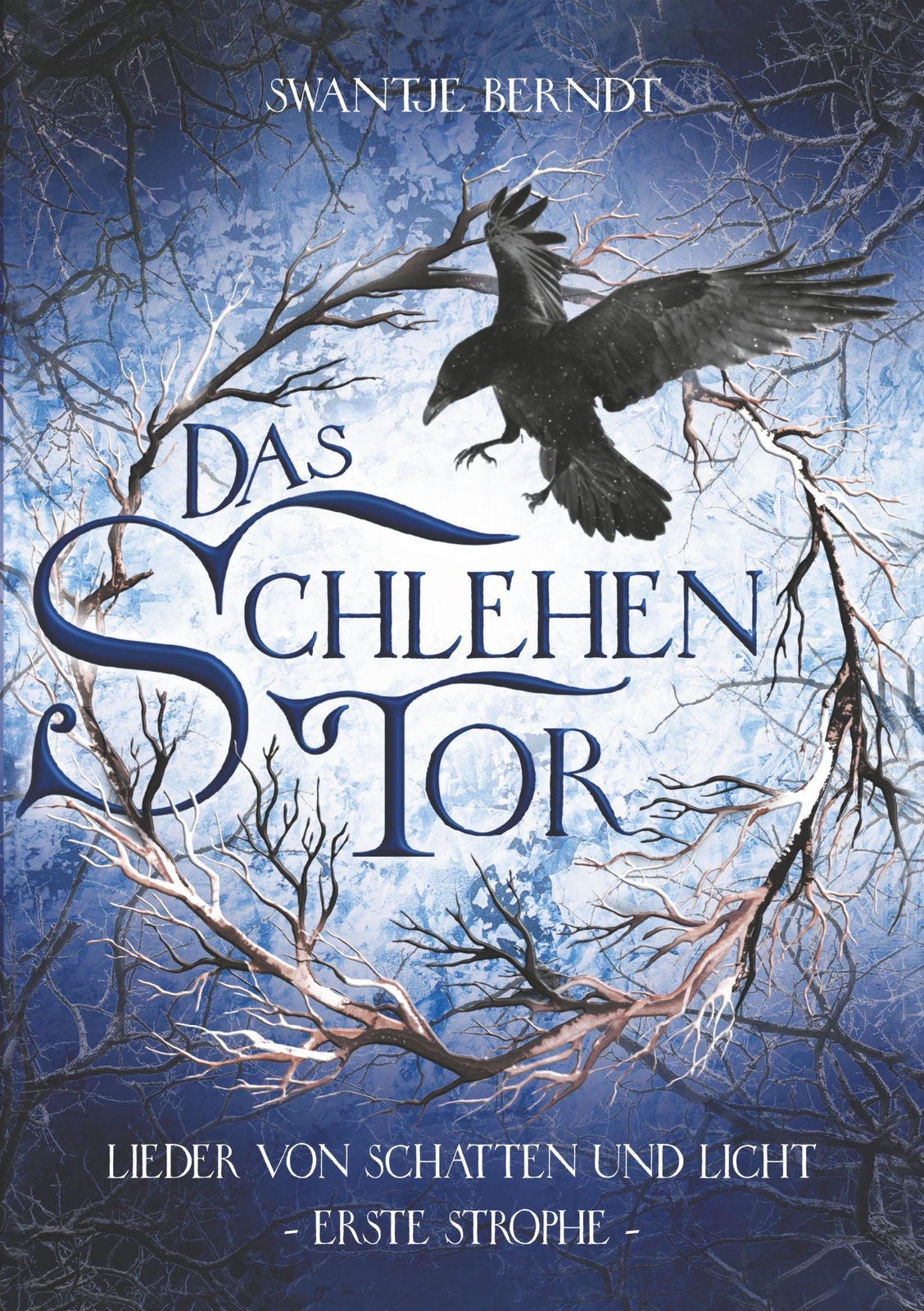 Thumbnail - Swantje Berndt | Das Schlehentor | Taschenbuch | Deutsch (2020) |