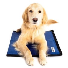 CoolerDog Hydro Cooling Mat for Dogs Dog Cooling Mat Cooling Pad for Hot ...