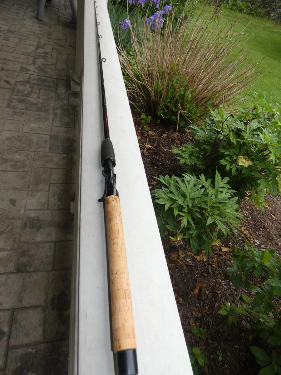 Team Daiwa In Casting Fishing Rods for sale | eBay