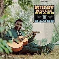 Muddy Waters - Muddy Brass The Blues - Vinyl Record - F600Z