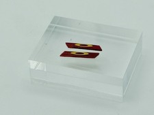 OAKLEY SUTRO SUTRO LITE SUNGLASSES REPLACEMENT RED YELLOW SIDE ICONS LOGOS