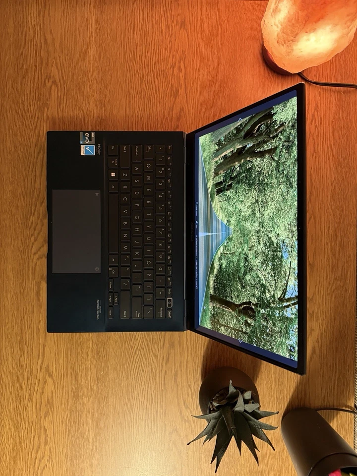 Portátil ASUS Zenbook 14" 2.8K OLED - 12ª Gen i5 - 8GB RAM - 256GB SSD - Ponder Foto 2 de 4