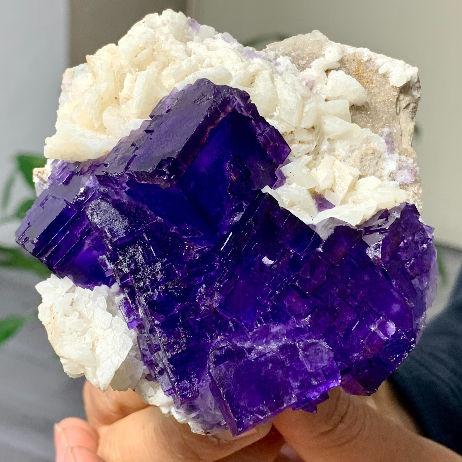 1.3LB Natural Purple Fluorite Quartz Crystal Mineral Specimen for Collectors