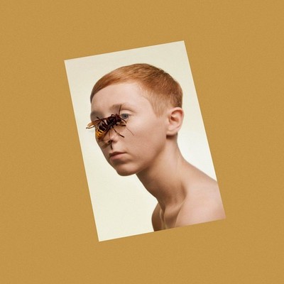 Vinyl Neu - Lim - Higher Living -I- Storm (la)