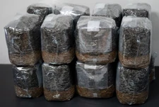 MycoHaus 16 Pack All in One 5 LB Rye & Compost Mushroom Substrate Spawn Grow Kit