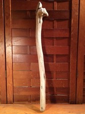 Beautiful 23" DRIFTWOOD Piece Art Terrarium Taxidermy Aquarium Beach Wood DECOR