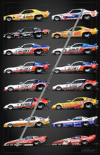 Don Prudhomme The Snake Cars Poster, FREE SHI...